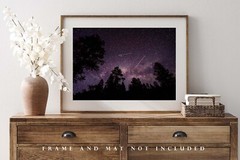 Night Sky Photography Print – Picture of Starry Sky Above Trees in Colorado