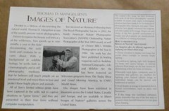 Sign Thomas Mangelsen Colors of the Tarangire Kingfisher Original Photo 126/2500