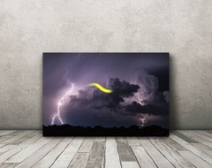 Lightning storm photography print firefly bug picture nature wall art photo