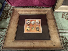2 Picture Frame of Quail Eggs By Jamie R Fisk 14×14 Printed