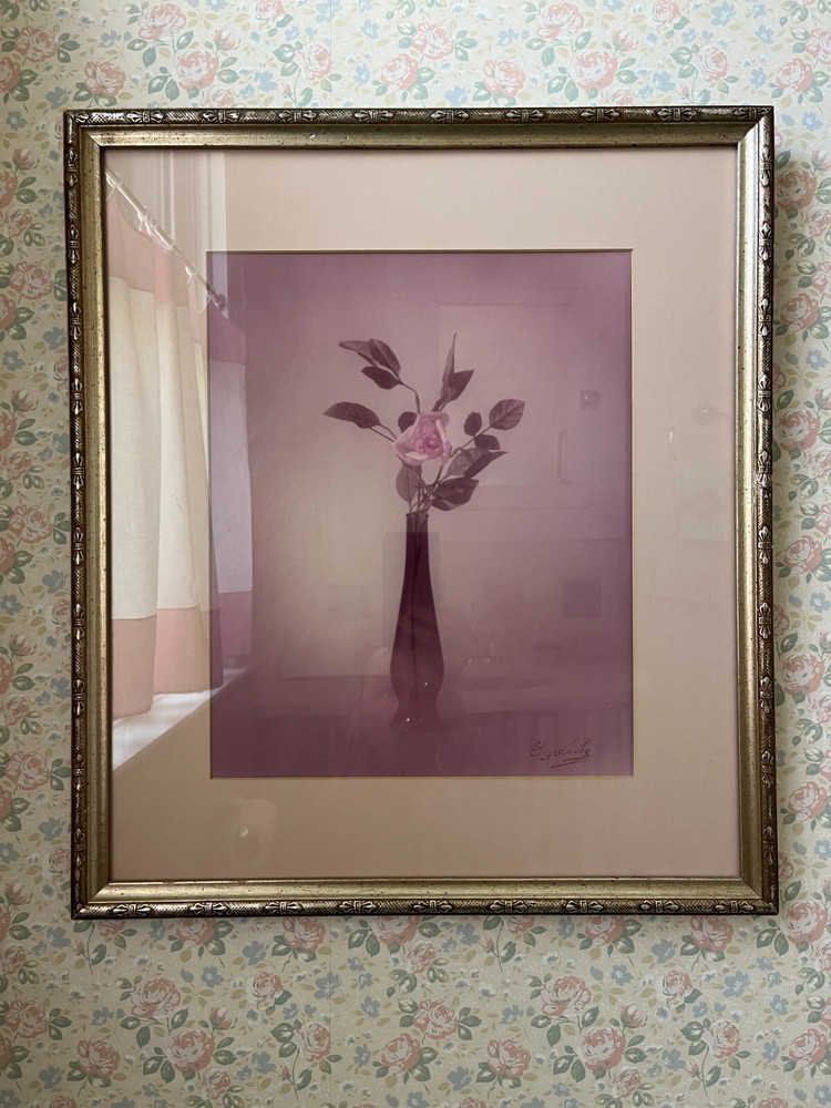 Vintage Framed Still Life Photography, Pink Rose in Vase, Signed