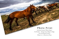 Horse Photography Print | Equine Picture | Oklahoma Wall Art | Western Decor