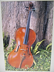 ART PHOTOGRAPHY Violin 11×14 Color Photo by Larry Santucci