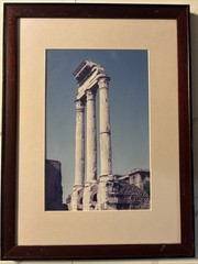 Vintage Roman Forum Castor Pollux Framed Photo Dark Academia Grandmillennial Art