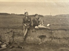 🐕 Miss Young Dog Field Edge, WWII c. 1942-45, Original Photo 6×9