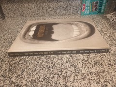 NOTORIOUS Herb Ritts Photo book Photography bulfinch press 1992 W300×H390mm Used