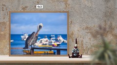 Pelican on Ocean Side, High Resolution Image, Many Formats, TV Art