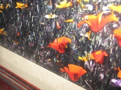 Thomas Mangelsen «Tapis Magique» Original Photograph 22″x68″ 736/2500 Flowers