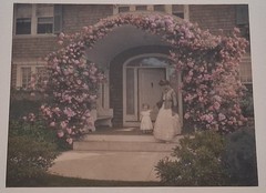 THE COMING OUT OF ROSA Wallace Nutting Hand-Tinted Photograph c. 1910s, CHILD