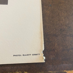 Vintage Photograph Print/ Plate- Elliot Erwitt «Cielito Lindo»- 12 x 12-