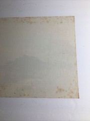 Vintage MCM Art Treasures Inc John Loo Nature Lithograph on Canvas Unframed G3