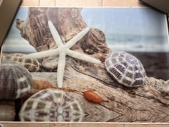 “Rodeo Beach” Beautiful XL Coastal Canvas Giclee Art 40 X 60” Image