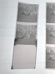 NEWLY FOUND! Hendrickson PHOTO Contact Sheet Proof & Negatives VICTORIAN COUPLES