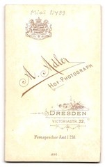 Photograph A. Adler, Dresden, Victoria Street 22, Elegant Lady with Fine Hair