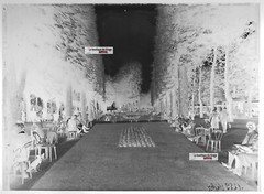 Old Black And White Photo Glass Plate Negative 13X18 Cm Old Vichy Park