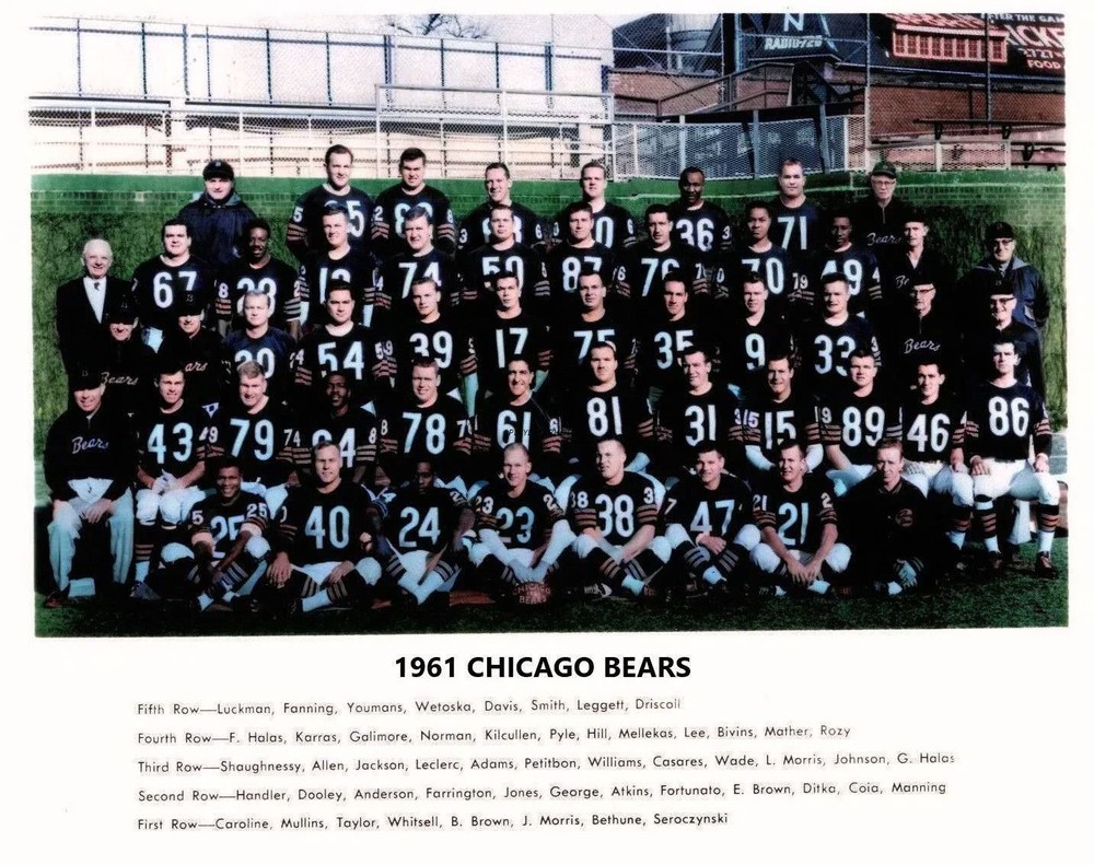 1961-bears-color 8×10 Colorized Print-FREE SHIPPING
