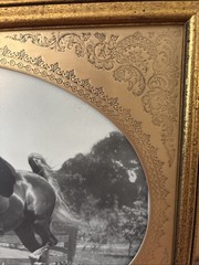 VTG Jay A. McClasky Fox Hunt Horse Saddlebred ~Copper Frame~Photograph /Signed