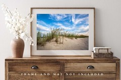 Coastal Photography Print – Picture of Sand Dunes and Sea Oats in South Carolina