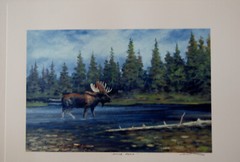 LOT of 3  – 8.25 x 11.5in MOOSE art prints, signed by George Wise 
