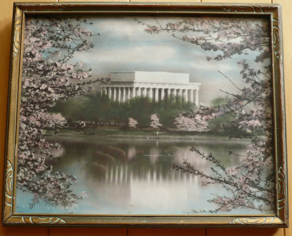 JAPANESE CHERRY TREES BUCKINGHAM WASHINGTON DC HAND COLORED PHOTOGRAPH LANDSCAPE