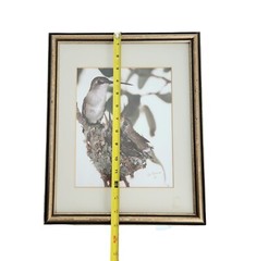 Vtg 1981 Framed Art Photograph Hummingbird Bird Nest Artist Signed Ed Brown OOAK