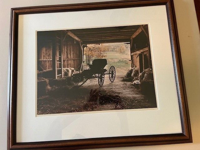 Bill Coleman – Amish Buggy – Photography Matted & Framed 26.5″ x 22.5″ – Signed!
