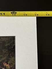 11×14 MARBLE CANTON, KOOTENAY N.P., CANADA Matted & Signed By Photographer