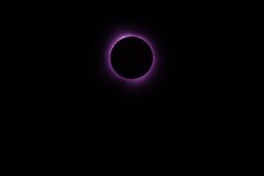 2024 Great American Eclipse Violet Purple False Color Metal Sheet Print
