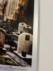 Andrew Mosedale Signed Cemetary Ballroom Photograph in Matte 12 x 9 FREE SHIP!!!