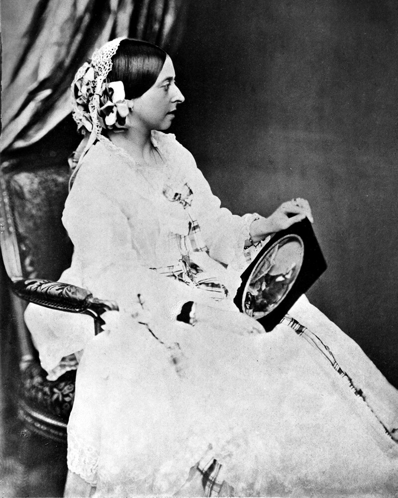 New Photo: British Queen Victoria Holding Portrait of Prince Albert – 6 Sizes!