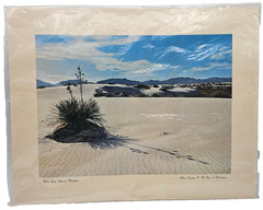 White Sands National Monument Photograph New Mexico