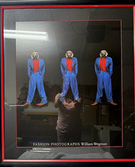 Fashion Photographs William Wegman 3 Weims picture custom framed/matted