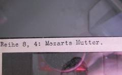Mozart Wolfgang Amadeus Mother Old Glass Picture 8.5 x 10 cm
