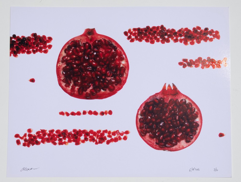 Pomegranates – 17″ x 22″ Fine Art Photography Print – Artistic Food Photography