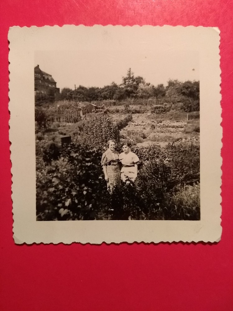 Old Photo Antique Pretty Women Standing in Green Nature Nice Women Old Photo