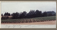 Artist Doreen Wynja Pair Vintage Photograph Art Wine Country Signed Matted EUC!!