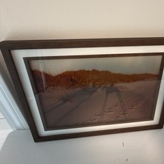 Horses in Shadow Sand Dunes Landscape Photograph Framed 14 1/2” x 11.