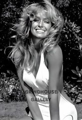 FARRAH FAWCETT Celebrity Pin-Up POSTER Print #3 Private Collection in Store