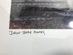 FRAMED PHOTOGRAPH – Indian Monkey Temple Signed 18 X 22