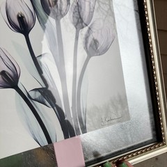 Tulips By Albert Koetsier Artist Signed Radiographic Xray Radio Photography Art