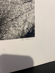 📸 1988 Museum Print Ansel Adams Award Jim Stimson «Pine Pollen Tamarack Lake»