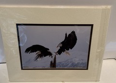 Richard Jackson Color Photo Changing Of The Guard, AK Limited Ed 329/500 Signed