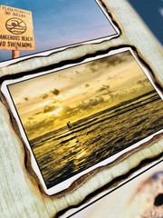 Custom wood Piranha beach photography art home deco by Steve Harris