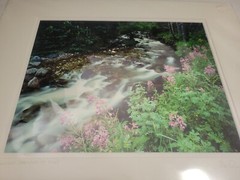 Don Ament «Running Through My Mind»Signed Matted Nature Creek Photograph 16″x20»