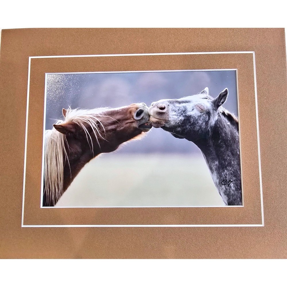 Clay Thurston Signed Photo Print 8×6″ Two Horses Noses Touching 10×8″ Frame