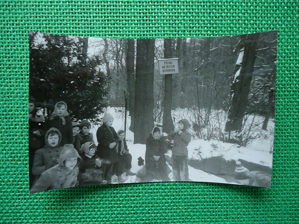 «SCHOOL COUNTRY HOME»: PHOTOGRAPHY, PHOTO, SCHOOL CHILDREN, STUDENTS, FOREST, WINTER, CHILDREN!