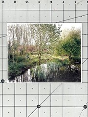 Jem Southam (b. 1950) Art Announcement Card 2004