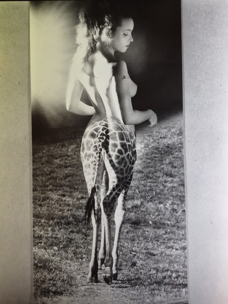 J. K. POTTER~Neurotica Photo~Signed and Numbered~(giraffe)
