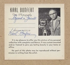 Vintage Karl Bonfert Signed Black and White Photograph Dogwood Yosemite 11 x 14″