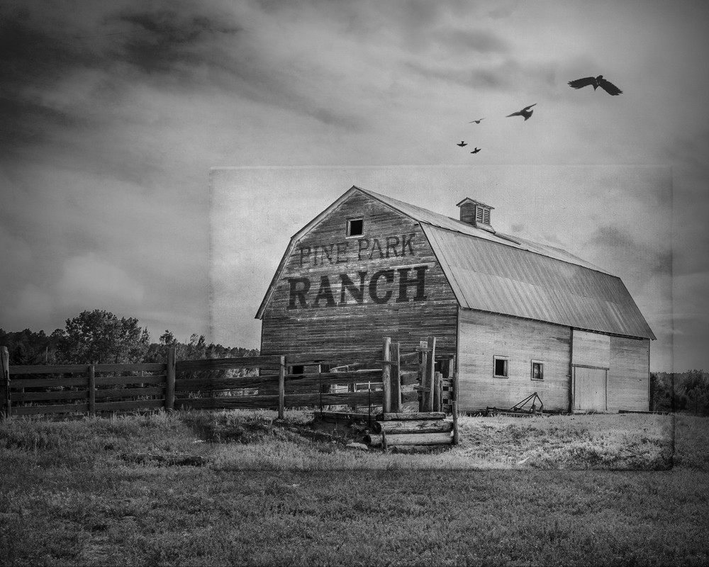 Fine Art Photography, Pine Park Ranch, Kiowa, Colorado, 8×10, Black & White